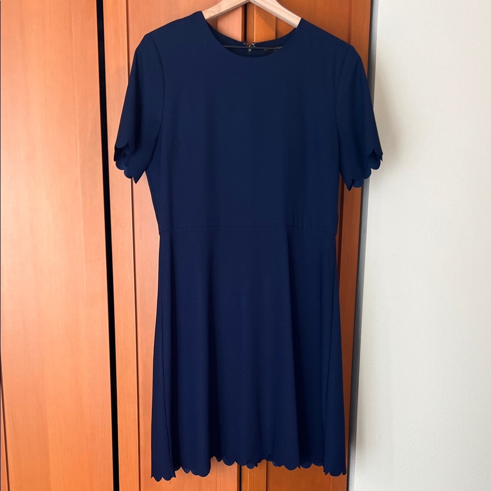 Banana Republic Elegant Scalloped Navy Blue Women's Dress